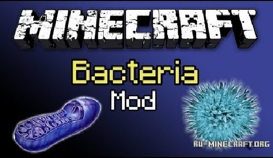 Bacteria  1.6.4