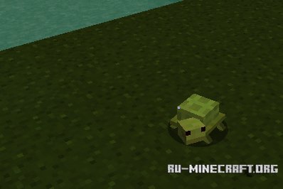 Reptile  1.8