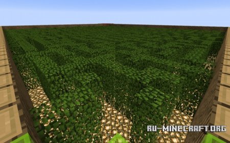 Leaf Maze [Difficulty - Hard]