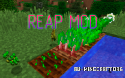 Reap 1.13 Reap 1.13