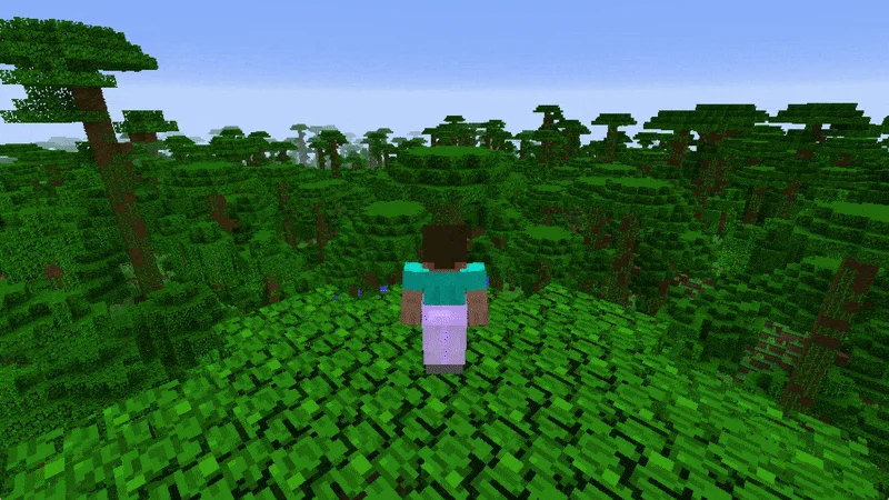 Анимация исследования разных биомов в Minecraft