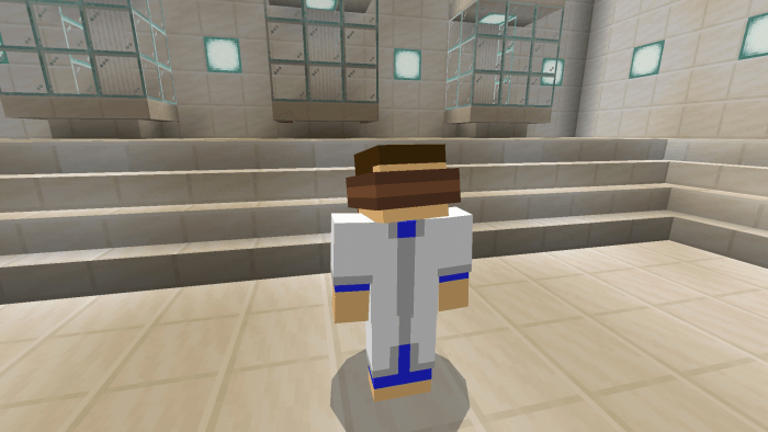 Разнообразие биомов в Minecraft: лес, пустыня, горы и океан