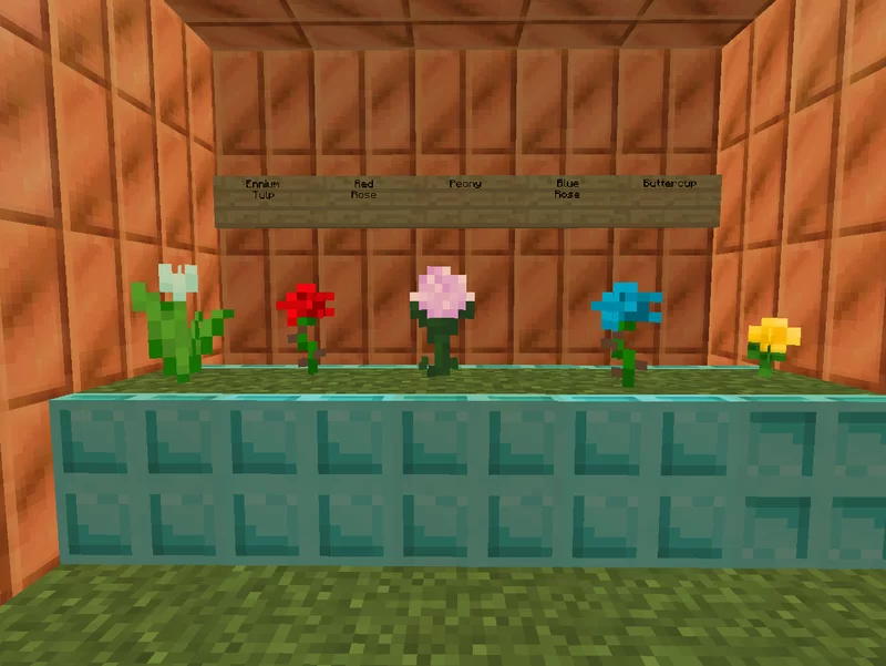 Разнообразие биомов в Minecraft: лес, пустыня, горы и океан