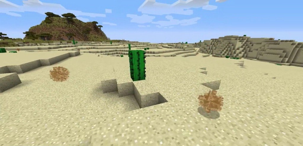 Перекати-поле в пустынном биоме Minecraft