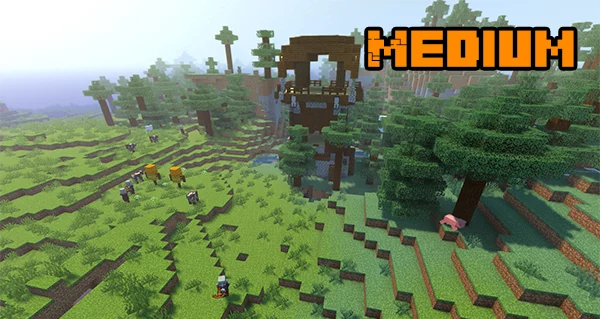 Крупный город в Minecraft, построенный игроками
