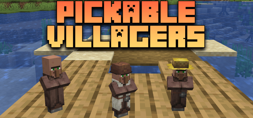 Pickable Villagers  1.16.5