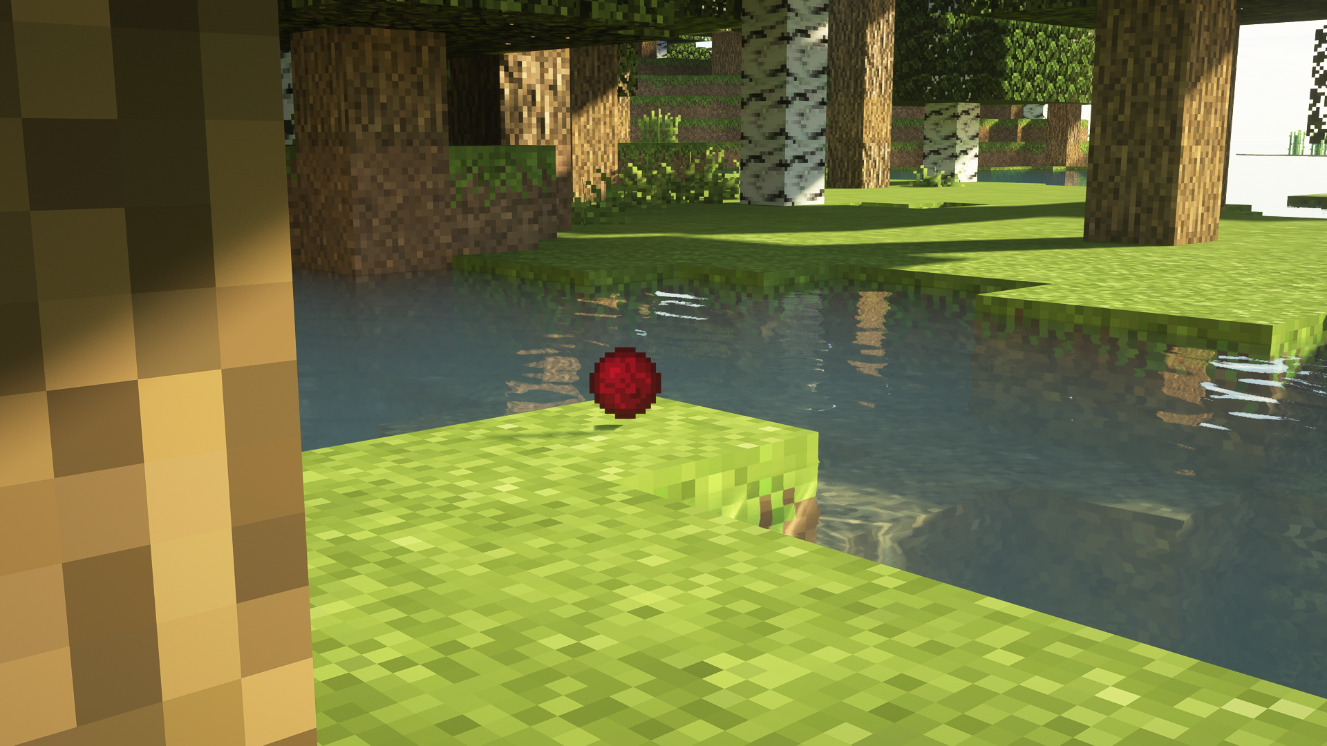 Pickable Health Orbs  1.16.5