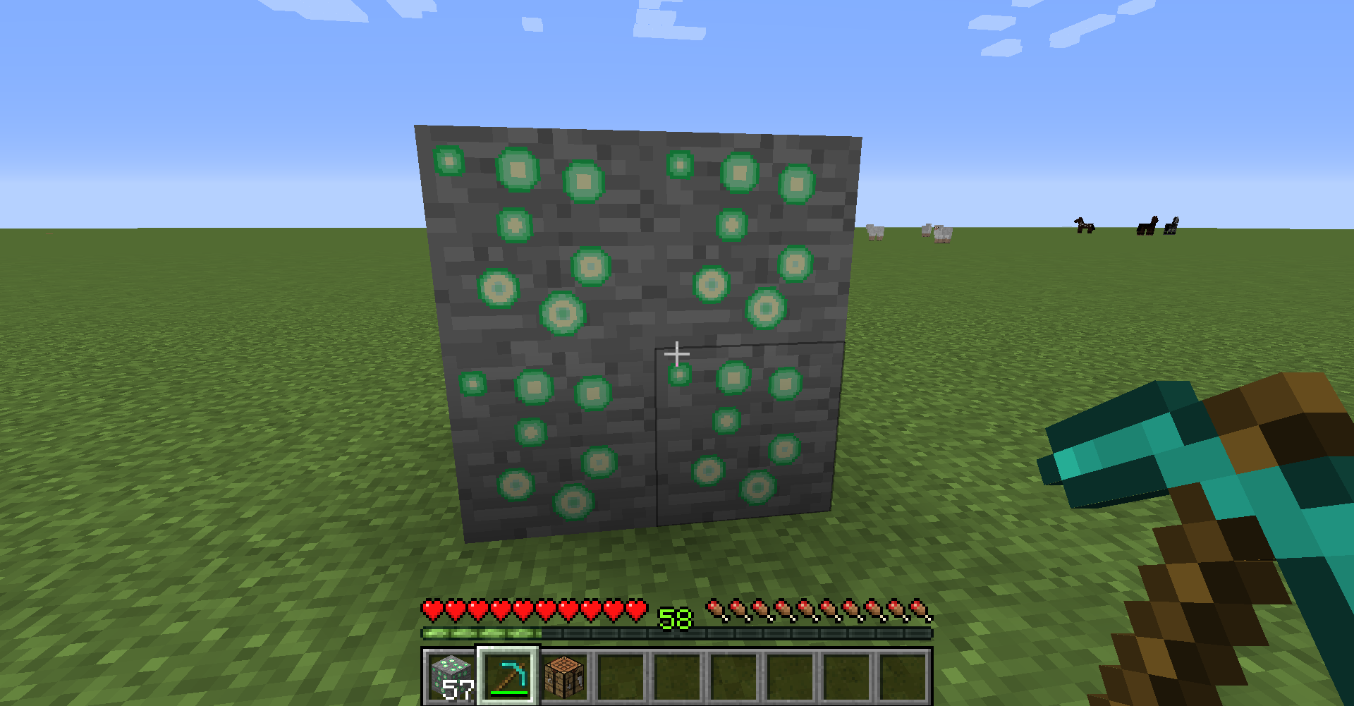 Exp Ore  1.16.5