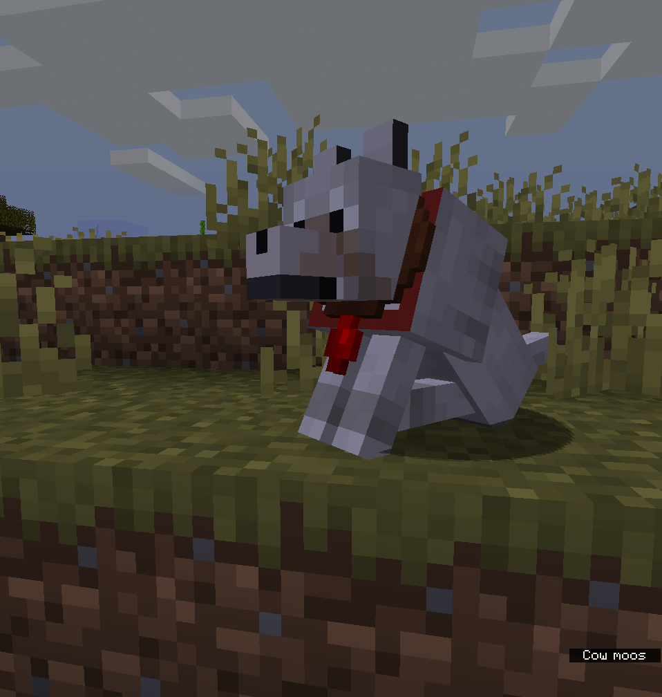 Pet Collars  1.14.3