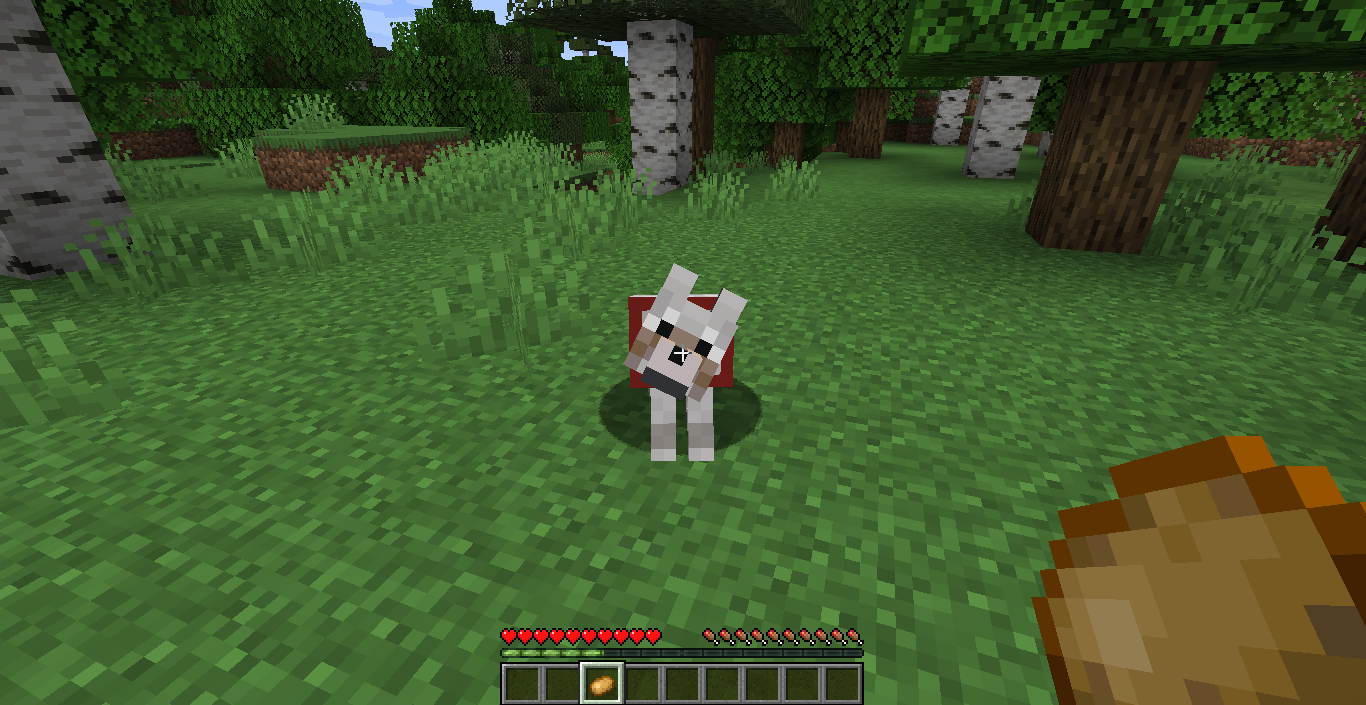 Разнообразие биомов в Minecraft: лес, пустыня, тайга и горы