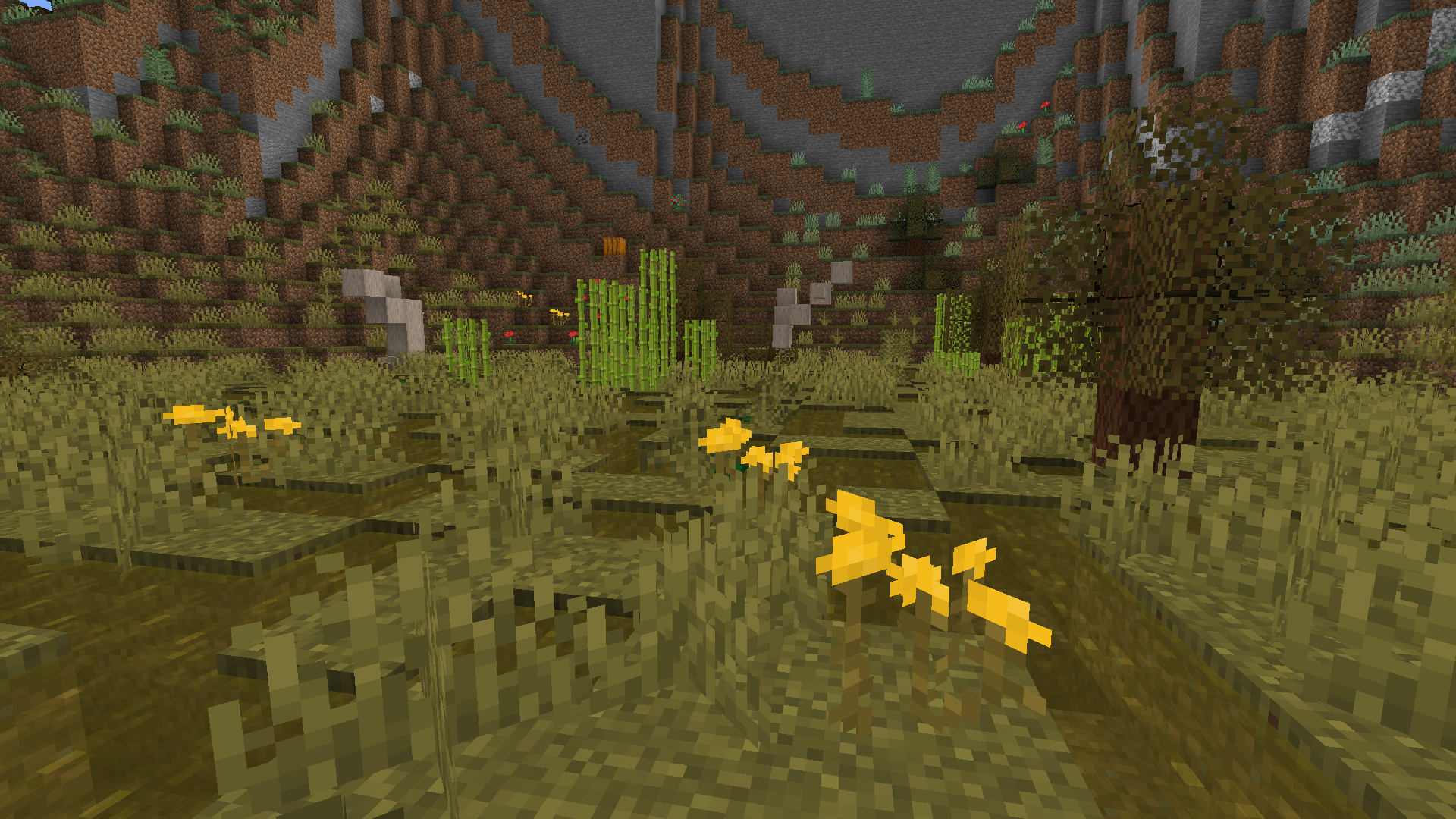 Woods and Mires  1.17