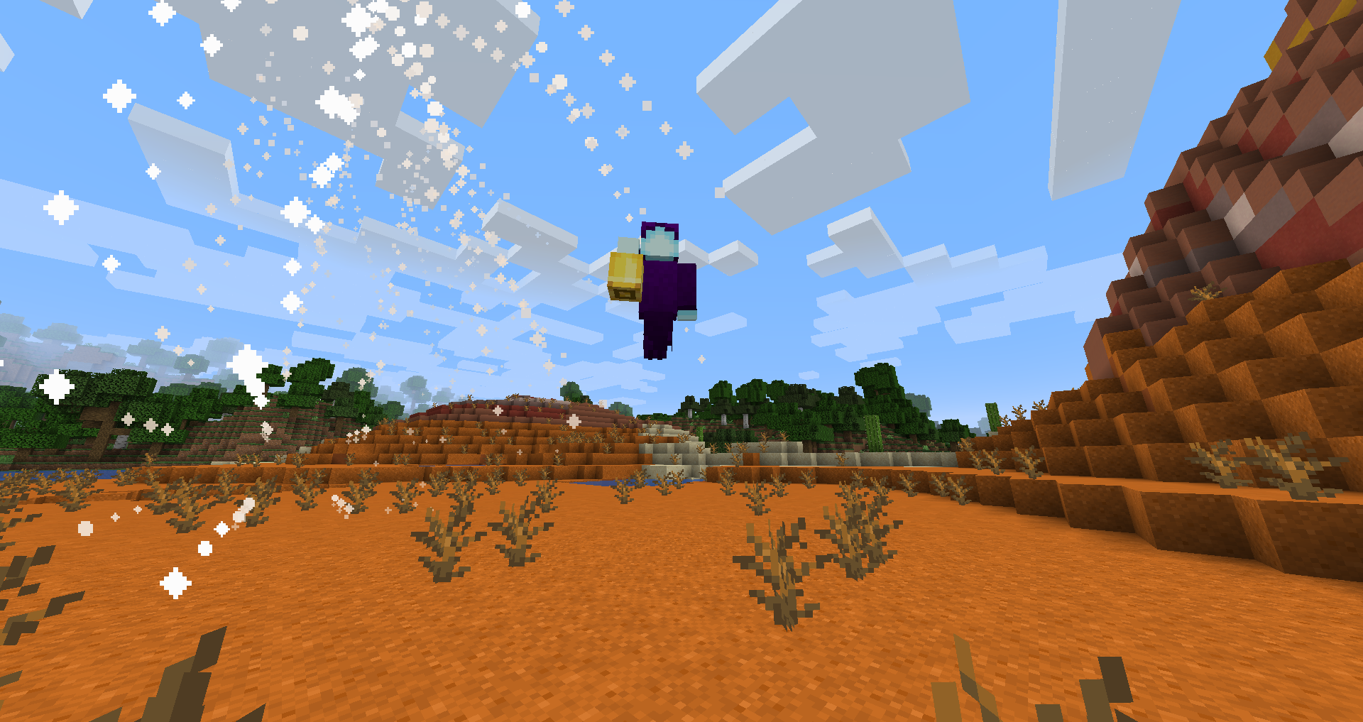 Разнообразие биомов в Minecraft: лес, пустыня, снежные горы
