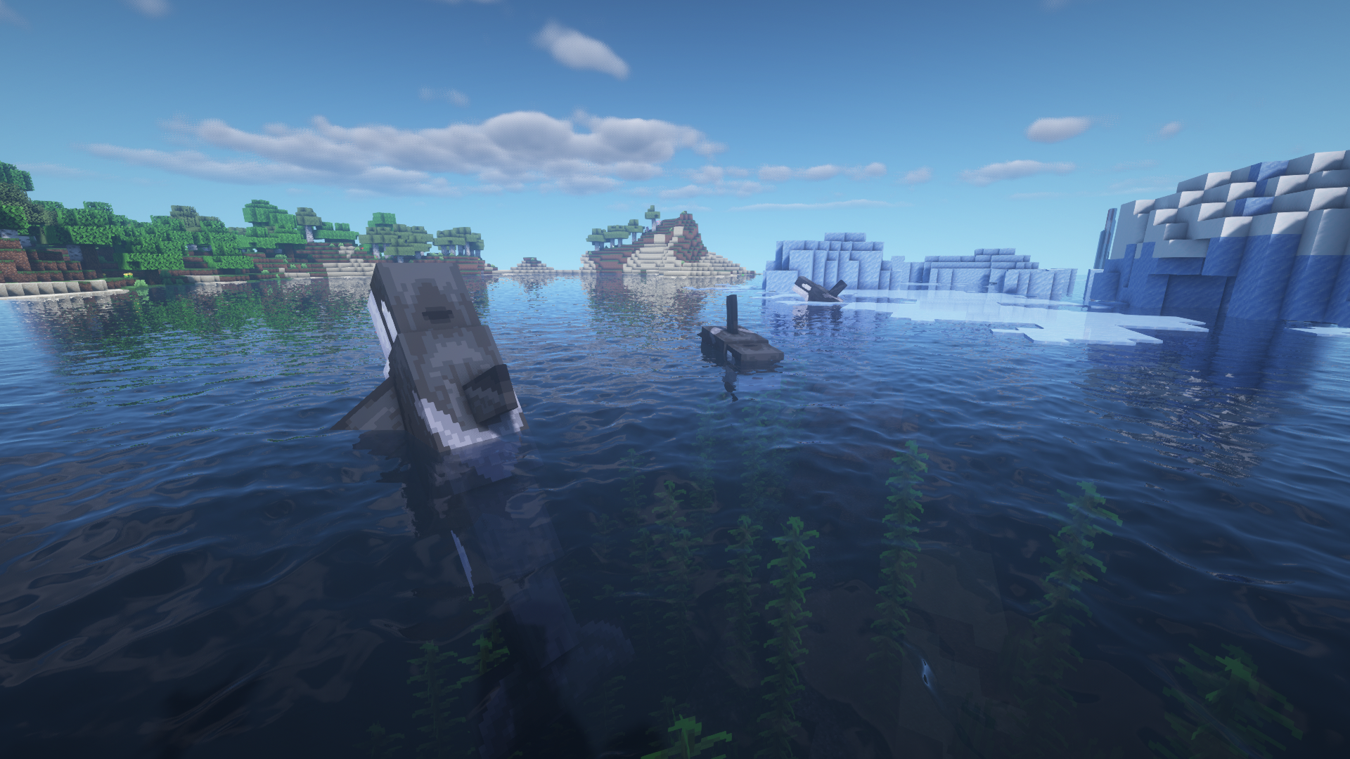 Группа игроков на сервере Minecraft строит город
