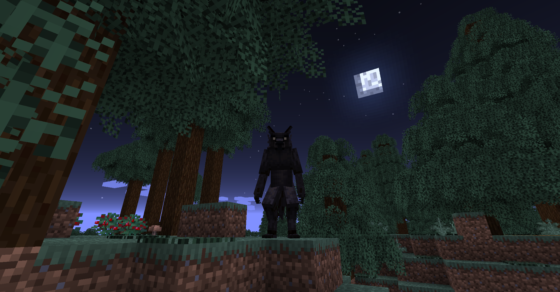 Bewitchment  1.20