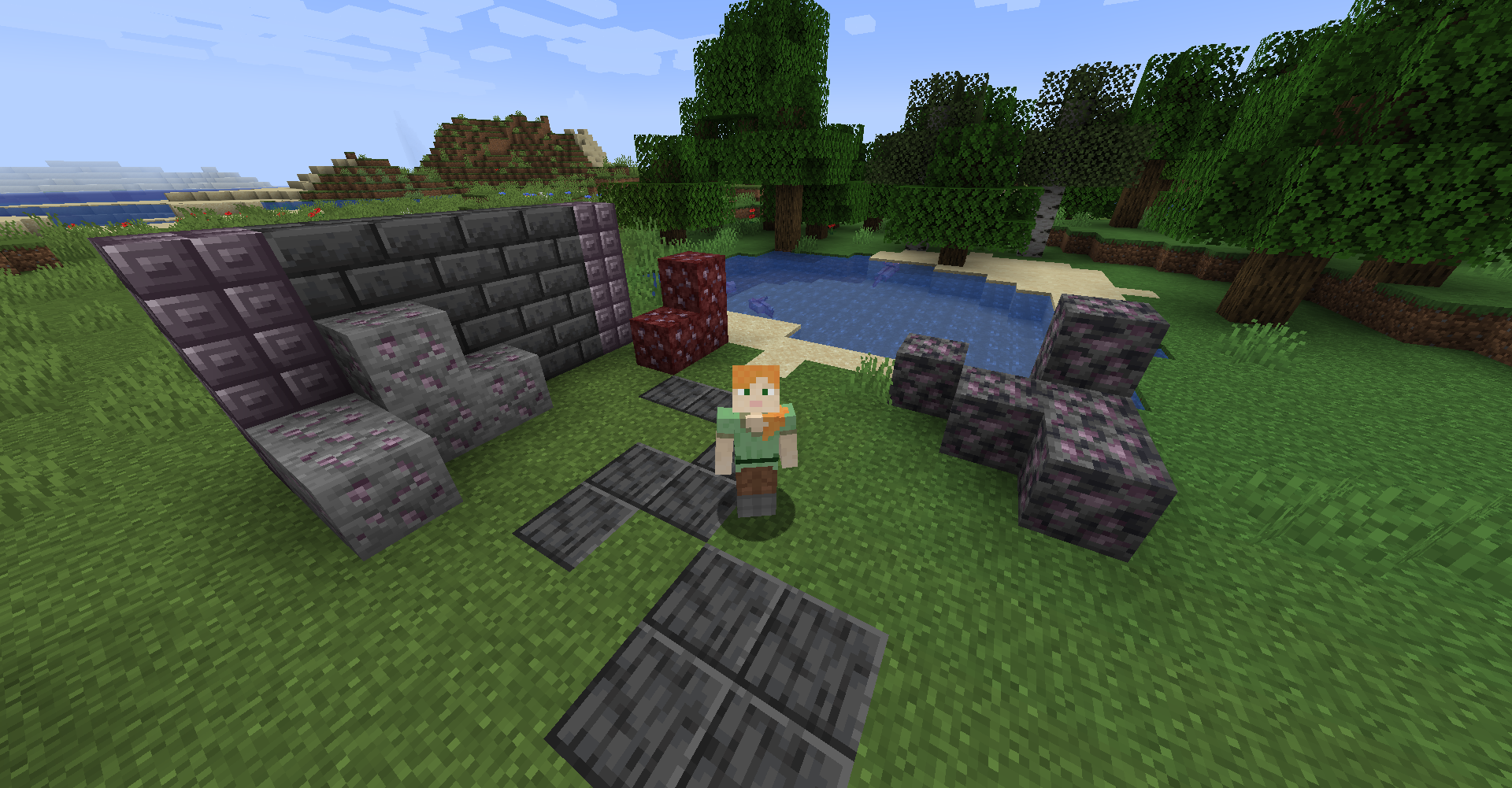 Разнообразие биомов в Minecraft: лес, пустыня, горы, океан