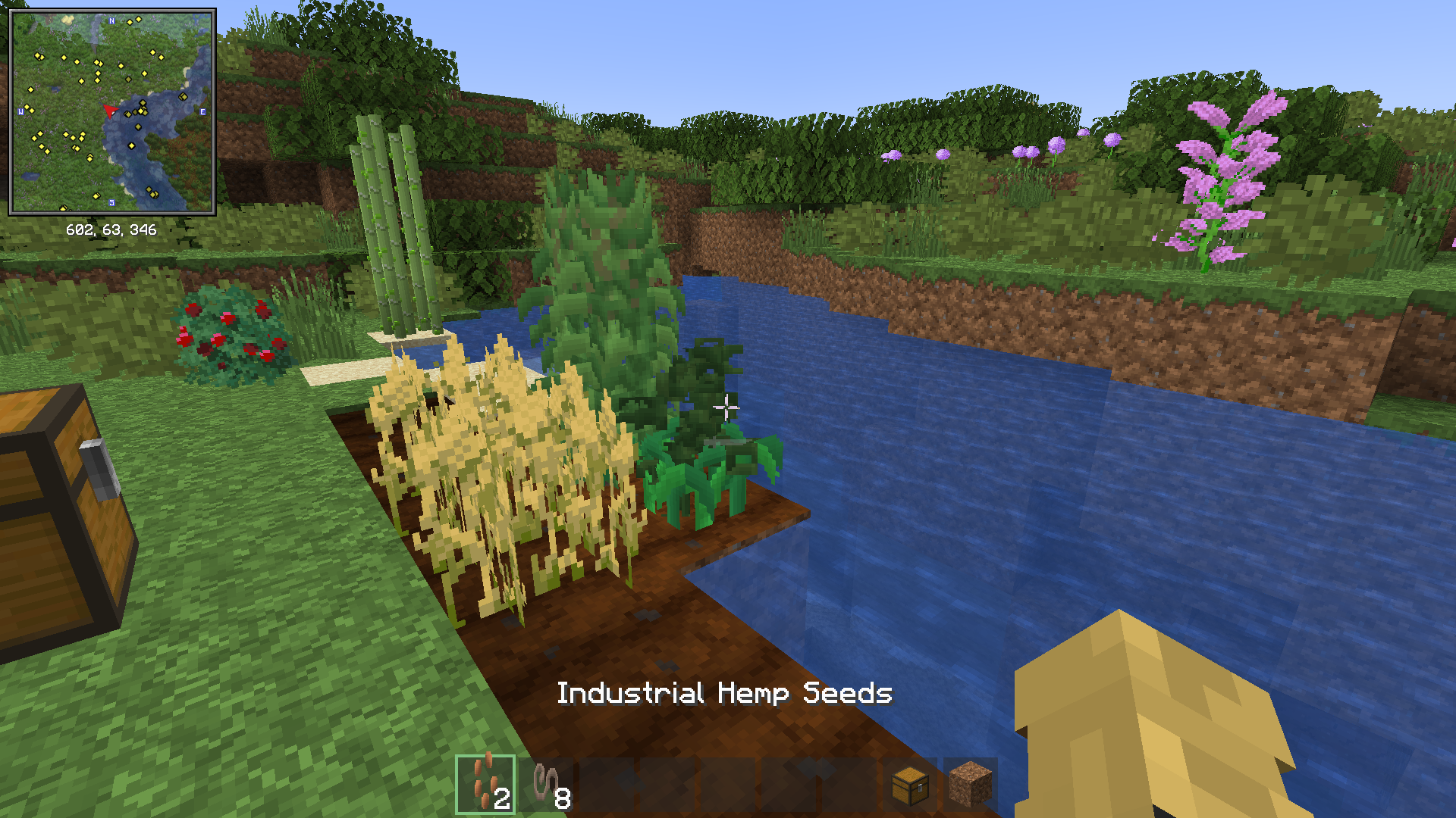 Новые блоки и мобы из последнего обновления Minecraft
