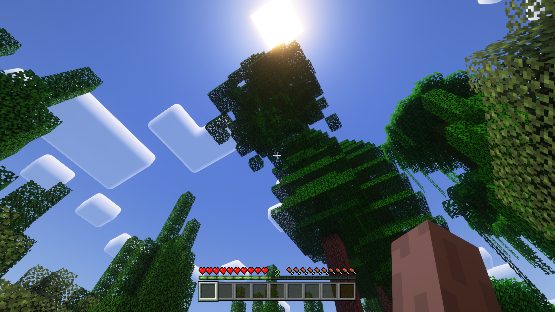 Красивый лесной биом в Minecraft с высокими деревьями