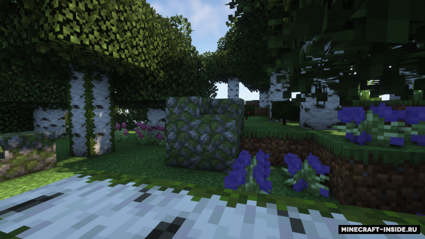 Установка мода Mallard’s Birch Forest Expanded в папку mods Minecraft