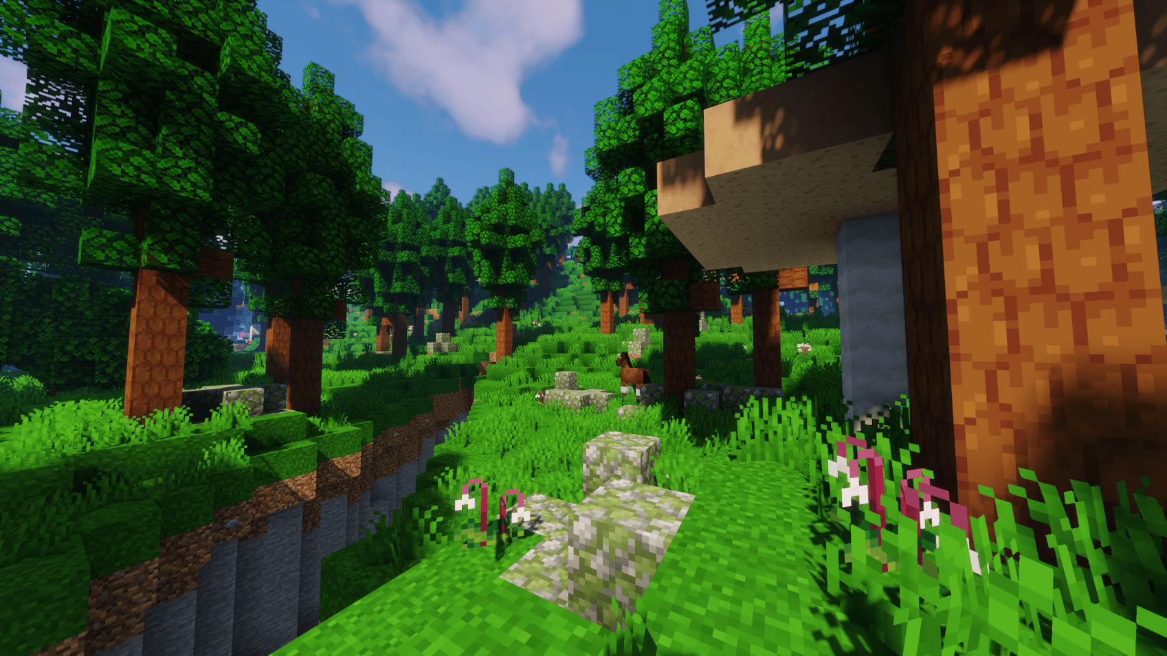 Wild Aside  1.19.4