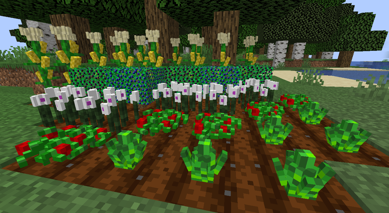 Разнообразие биомов в Minecraft: лес, пустыня, горы и океан