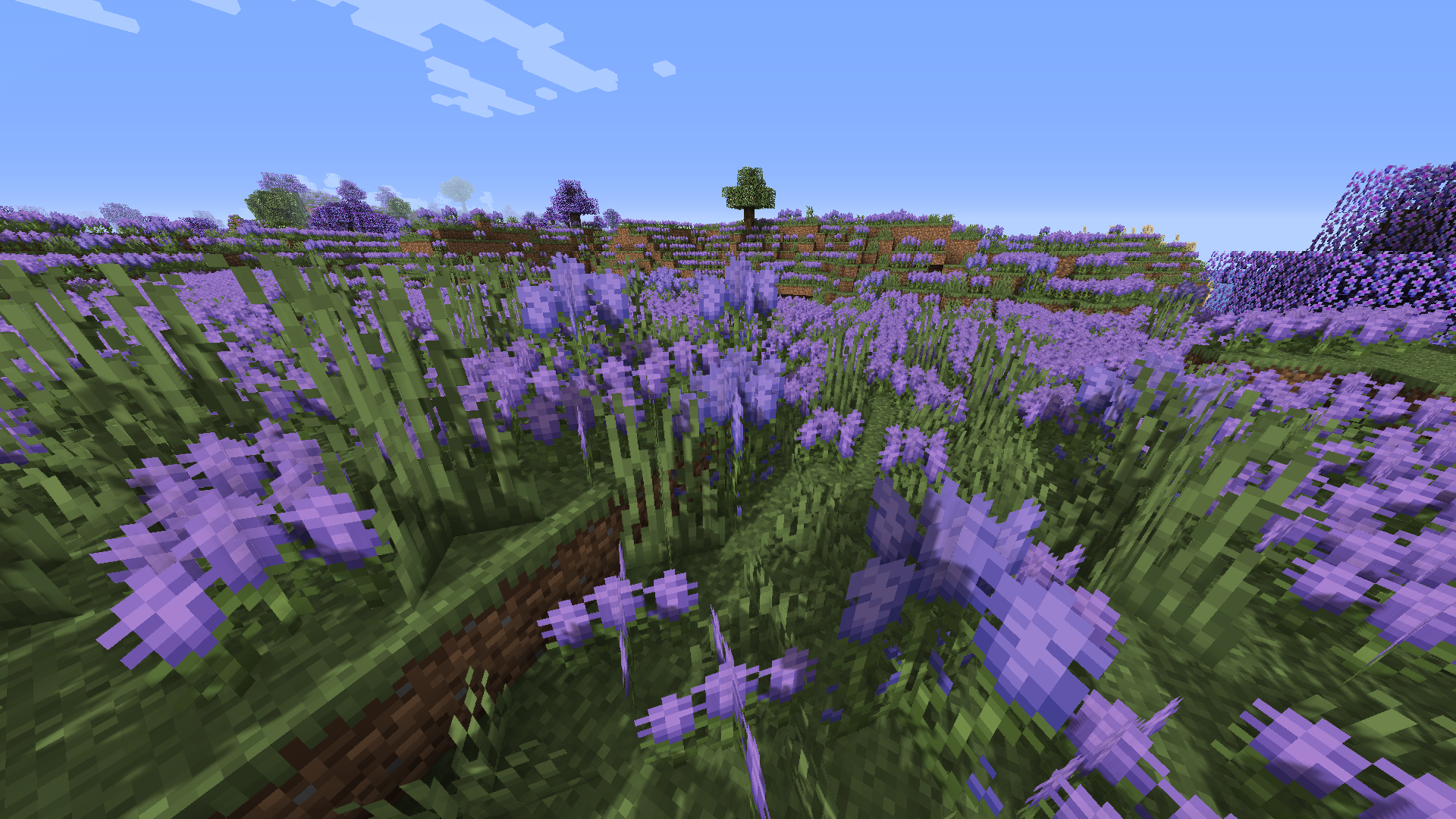 Игроки на сервере Minecraft строят город в режиме креатива