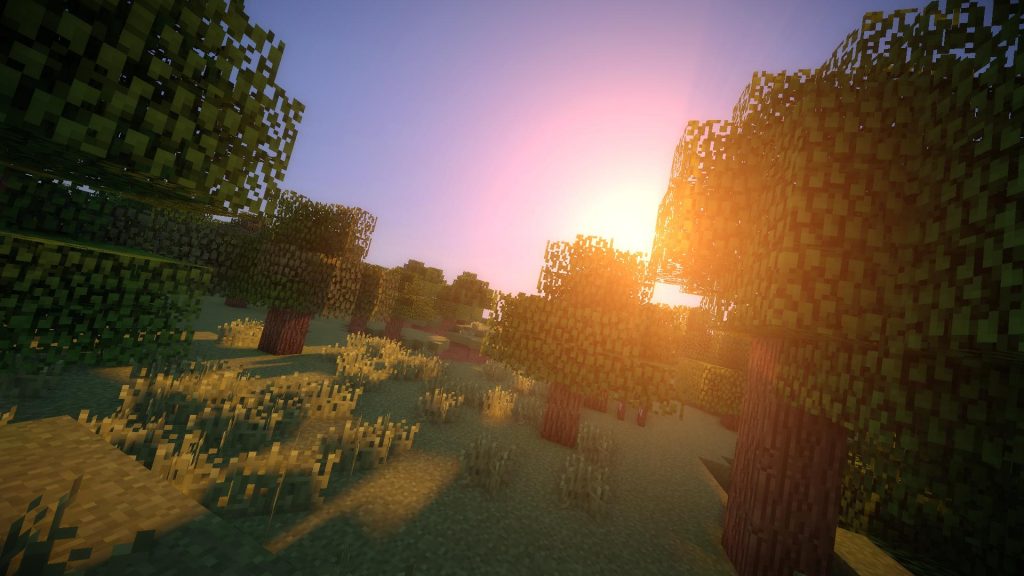 Сравнение графики Minecraft с шейдерами и без: реалистичные тени и вода