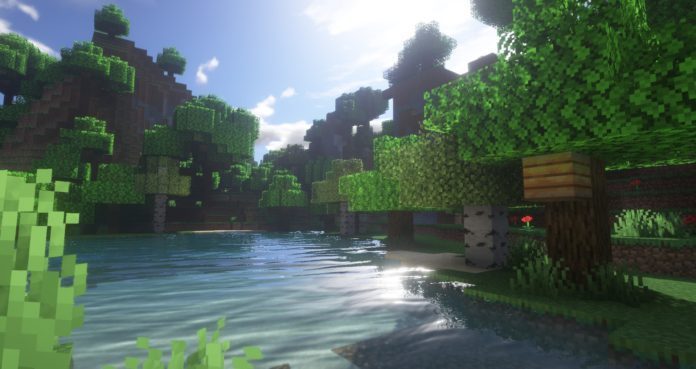 Bloom  1.16.5