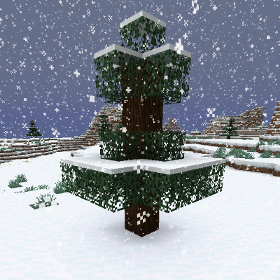 Snow Under Trees  1.15.2