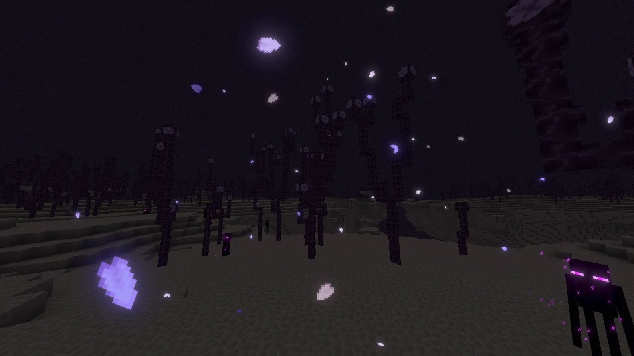 Разнообразие биомов в Minecraft: лес, пустыня, горы и океан