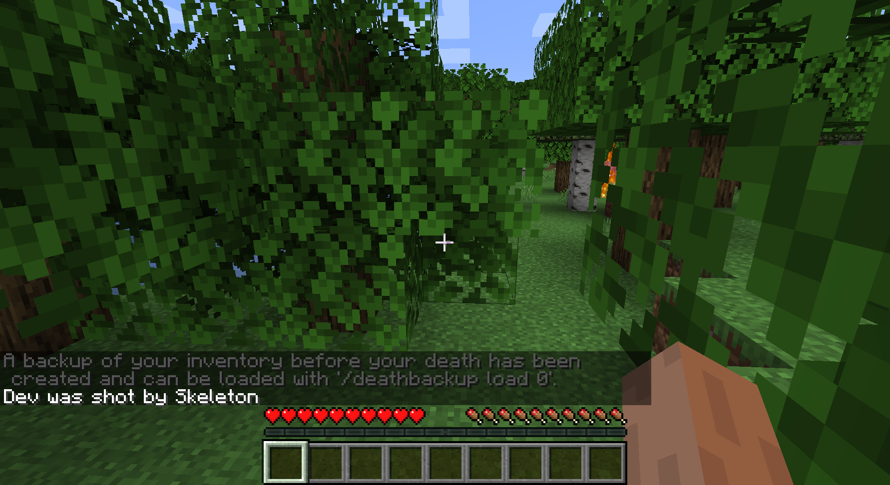 Скриншот мода OptiFine с улучшенной графикой в Minecraft