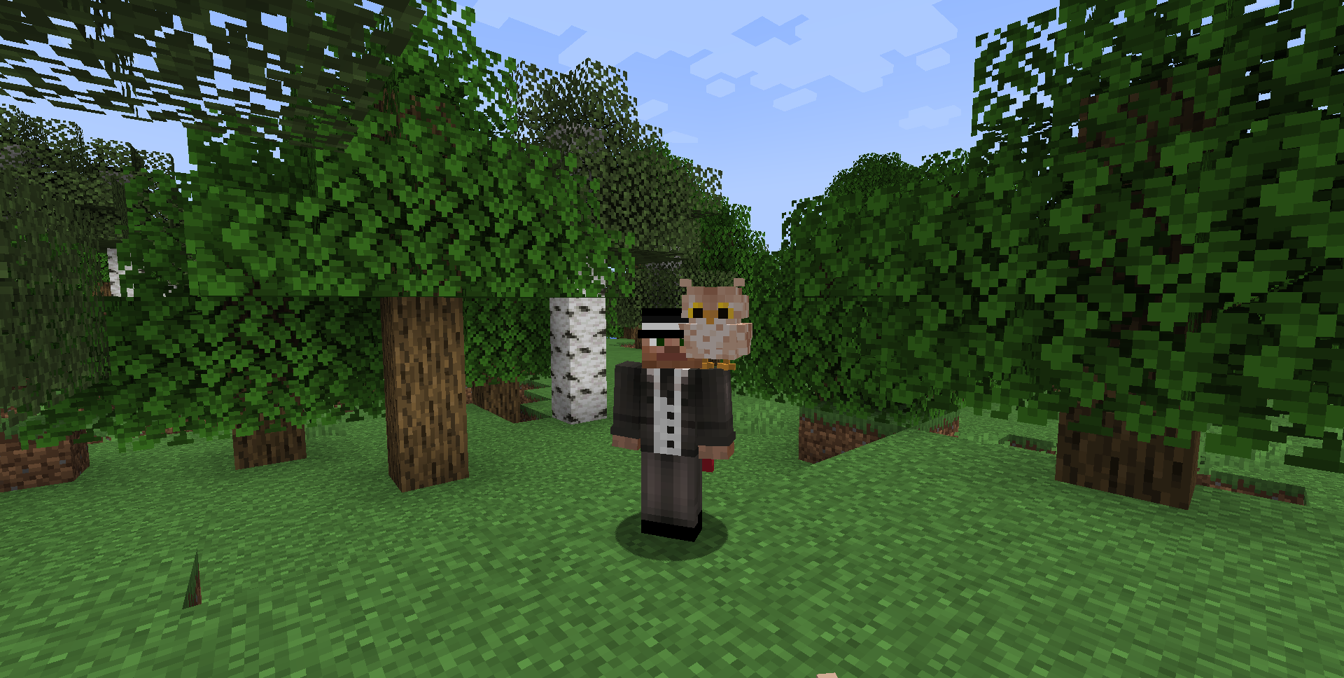 Игрок кормит прирученную сову семенами в Minecraft