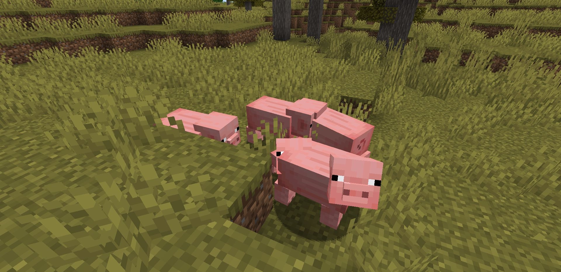 Милые анимации детёнышей животных после установки Better Babies в Minecraft
