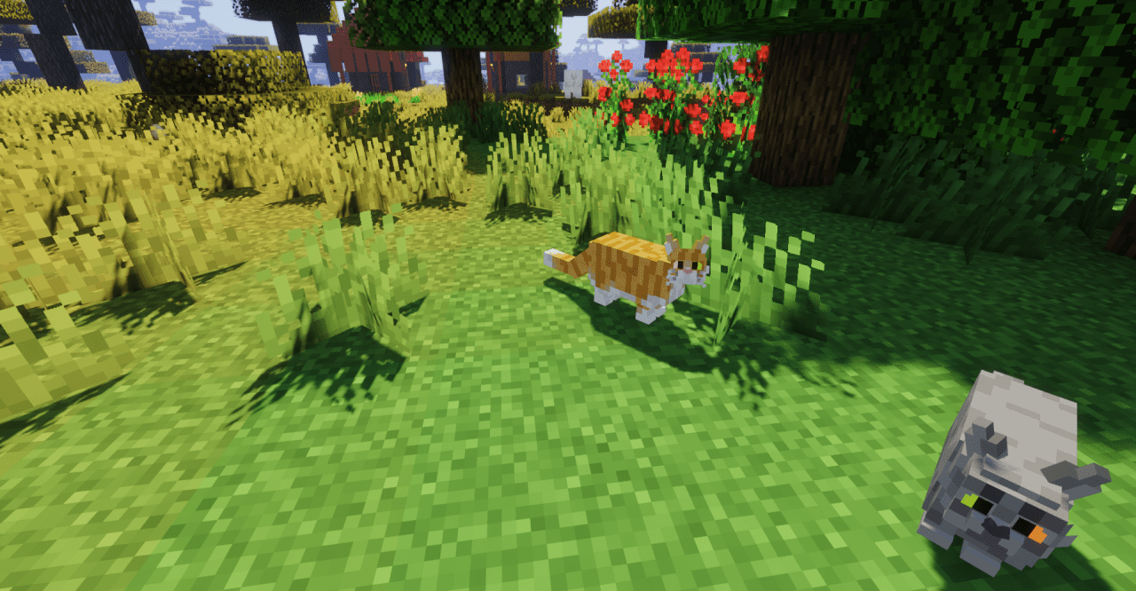 Коты в Minecraft с уникальными окрасами и анимацией сна