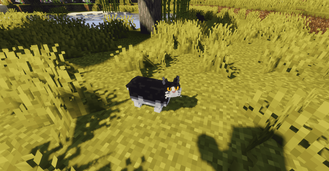 Коты в Minecraft с реалистичной анимацией и взаимодействием