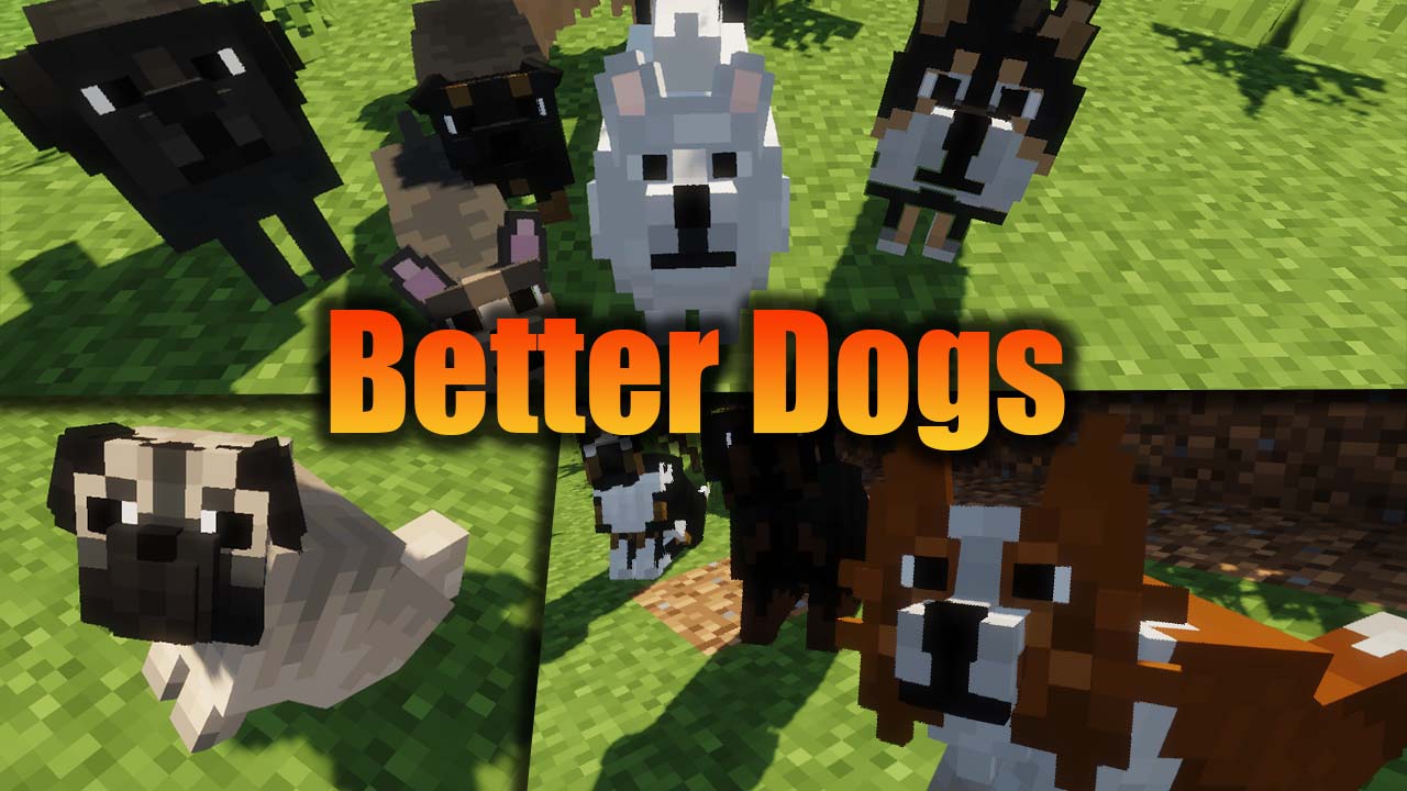 Better Dogs  1.20.6