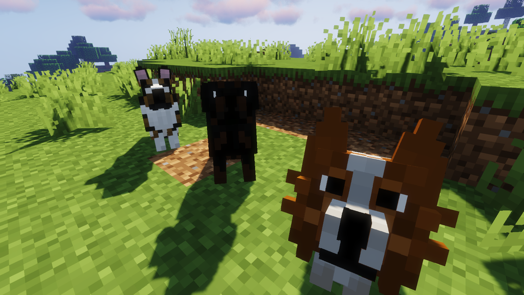 Сравнение стандартных и улучшенных текстур собак в Minecraft