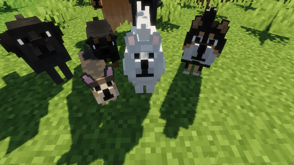 Собаки разных пород в биомах Minecraft с модом Better Dogs