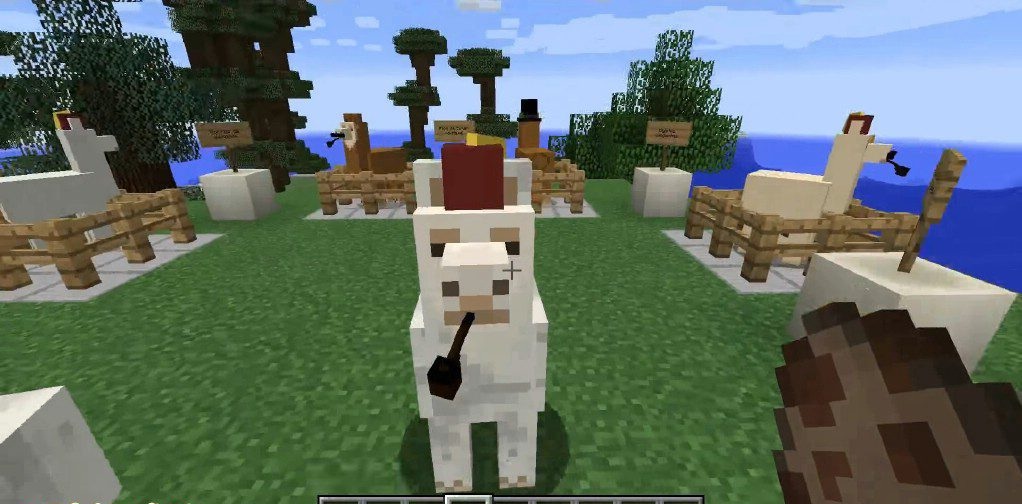 Игровой скриншот мода Better Than Llamas: игрок едет на улучшенном верблюде по пустынному биому