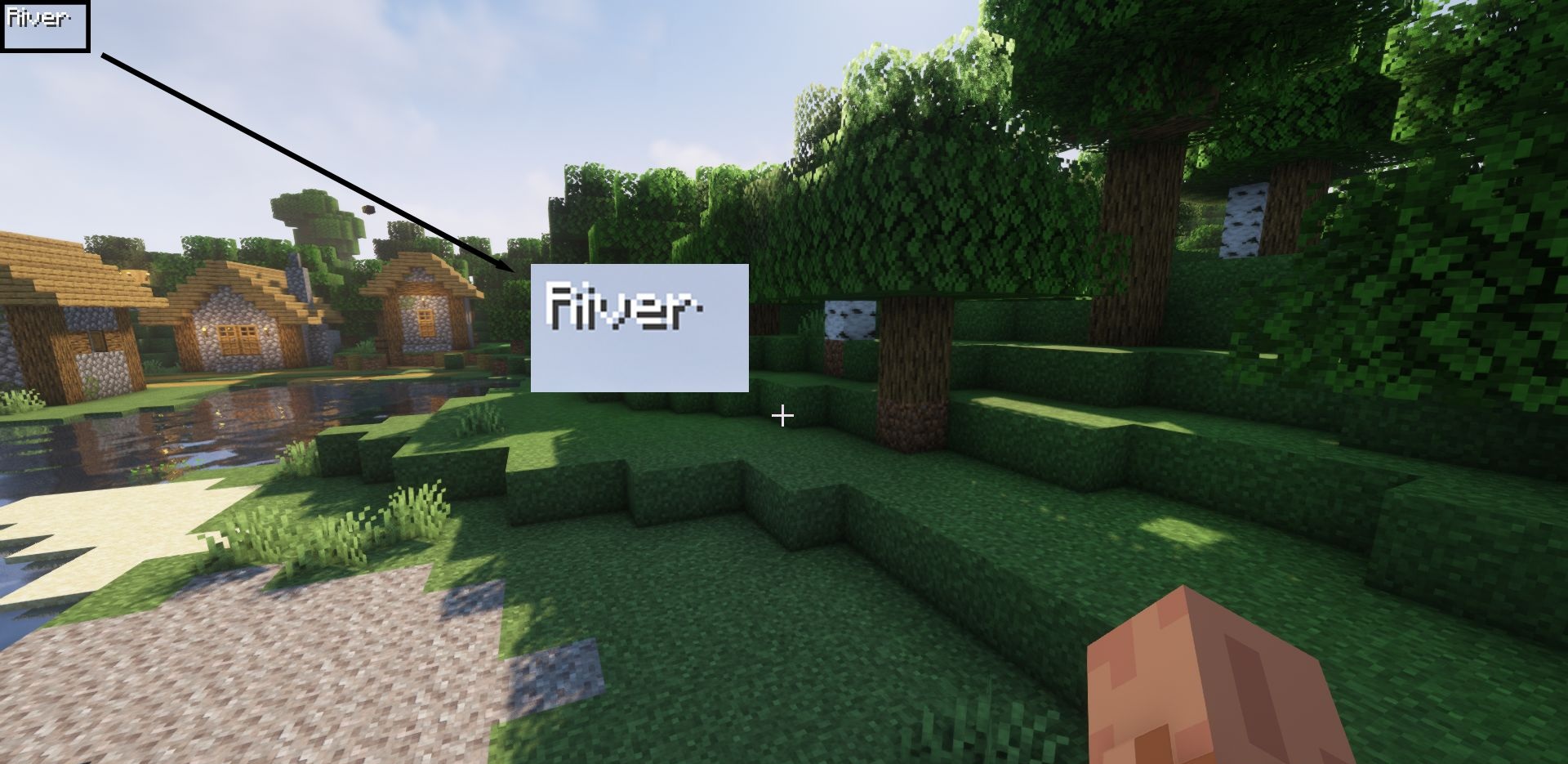 Пример работы BiomeInfo в снежном биоме Minecraft