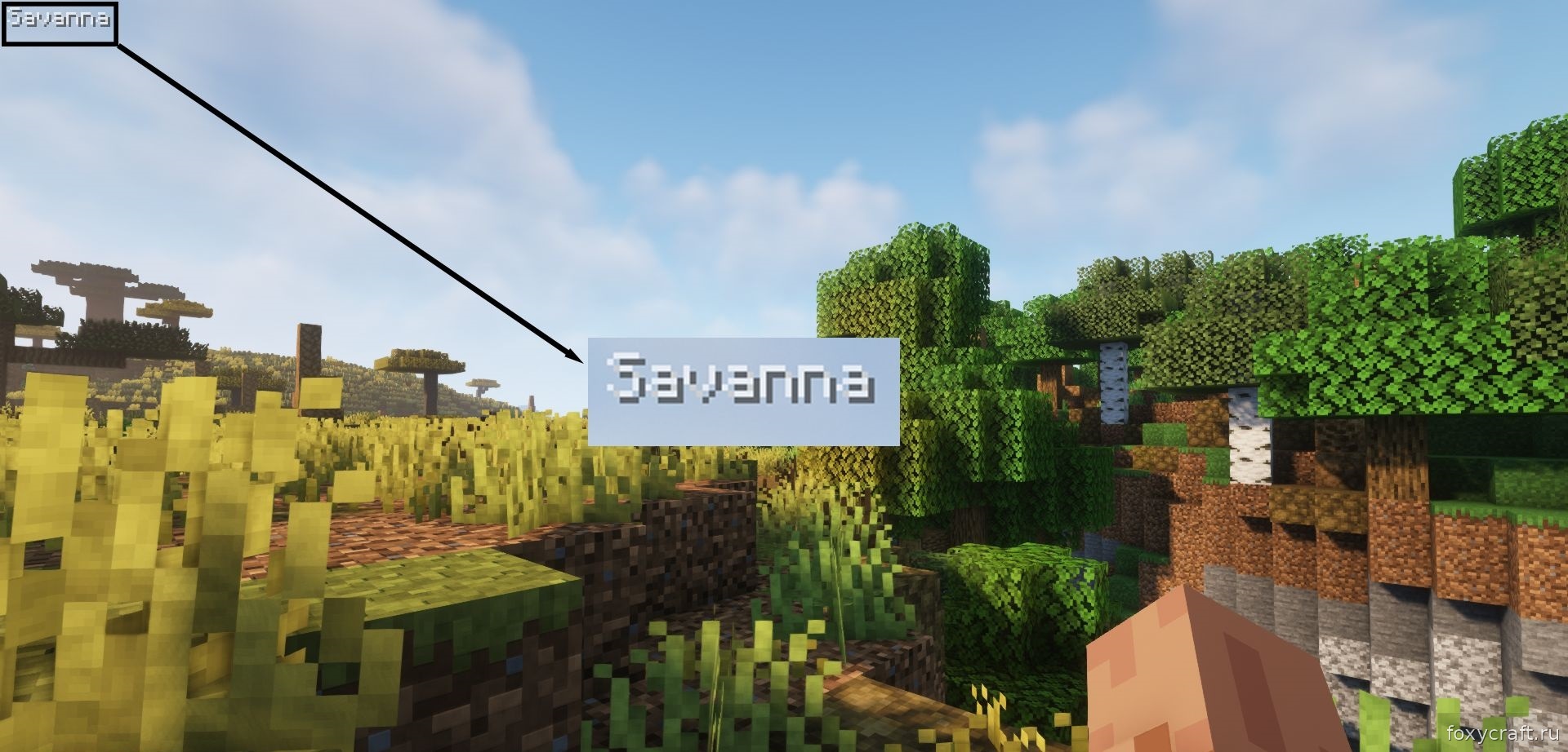 Сравнение биомов в Minecraft с подписями от мода BiomeInfo