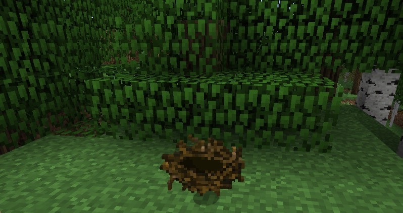 Папка модов в Minecraft с установленным Birds Nests для новых игровых механик