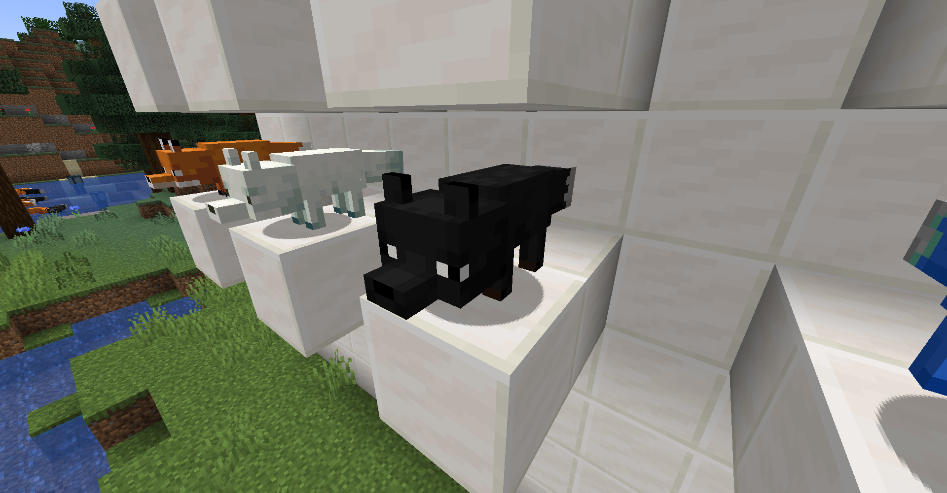Чёрная лиса в Minecraft: редкий окрас и особенности поведения