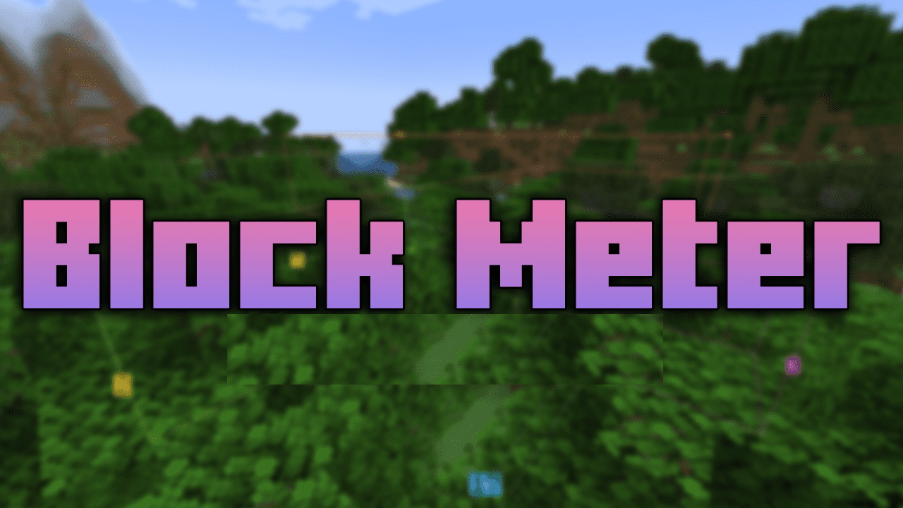Block Meter для Minecraft 1.20.6