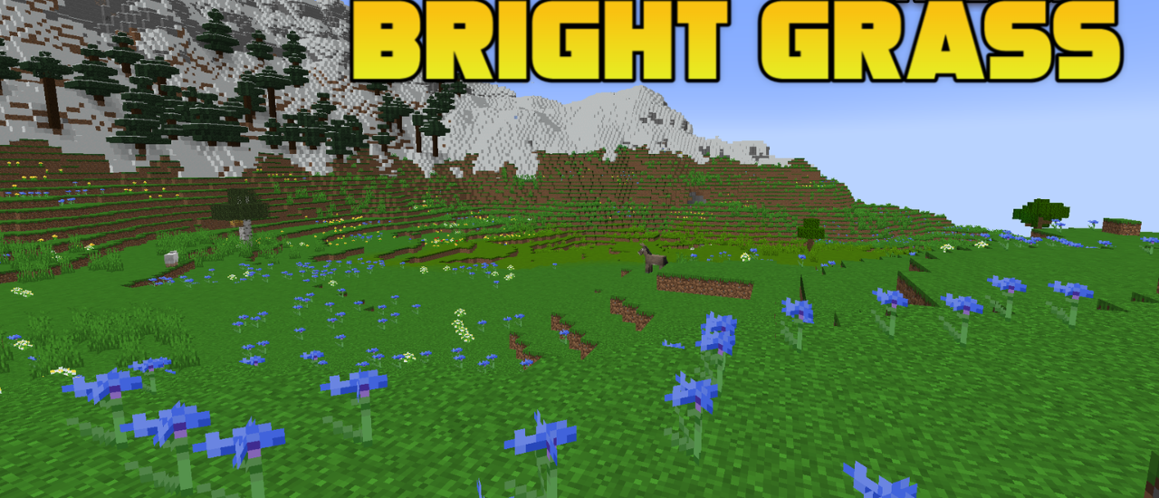 Bright Grass  1.19.4