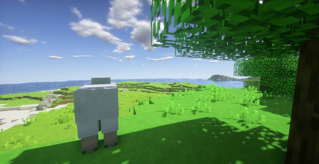 Bright Shades  1.12.2