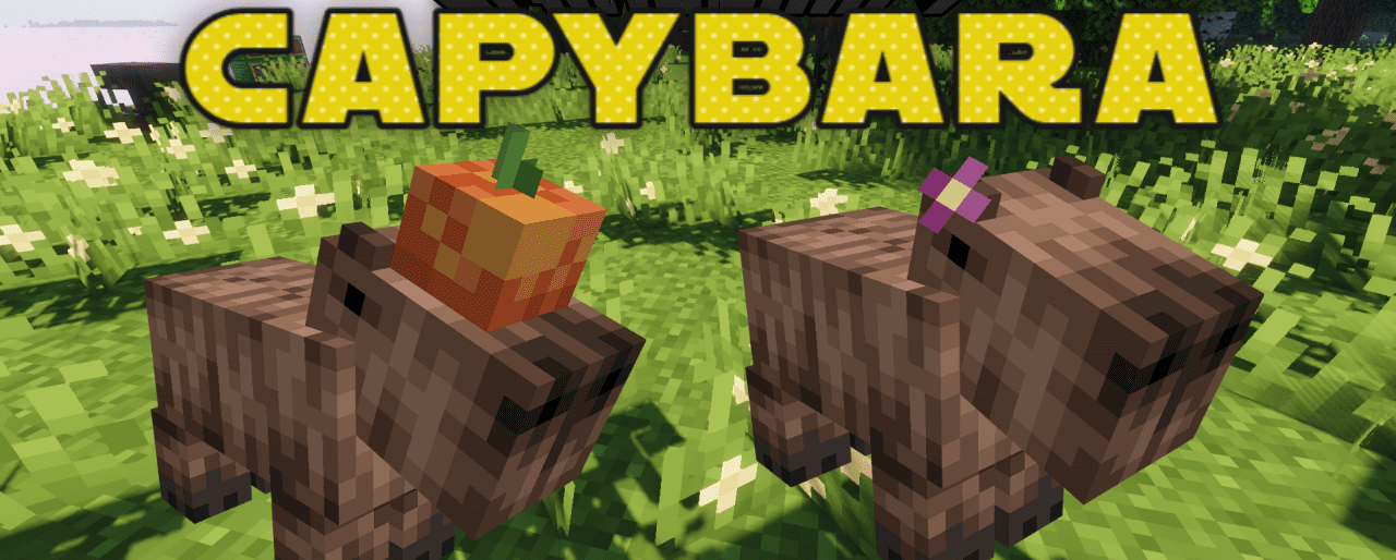 Capybara  1.19.1