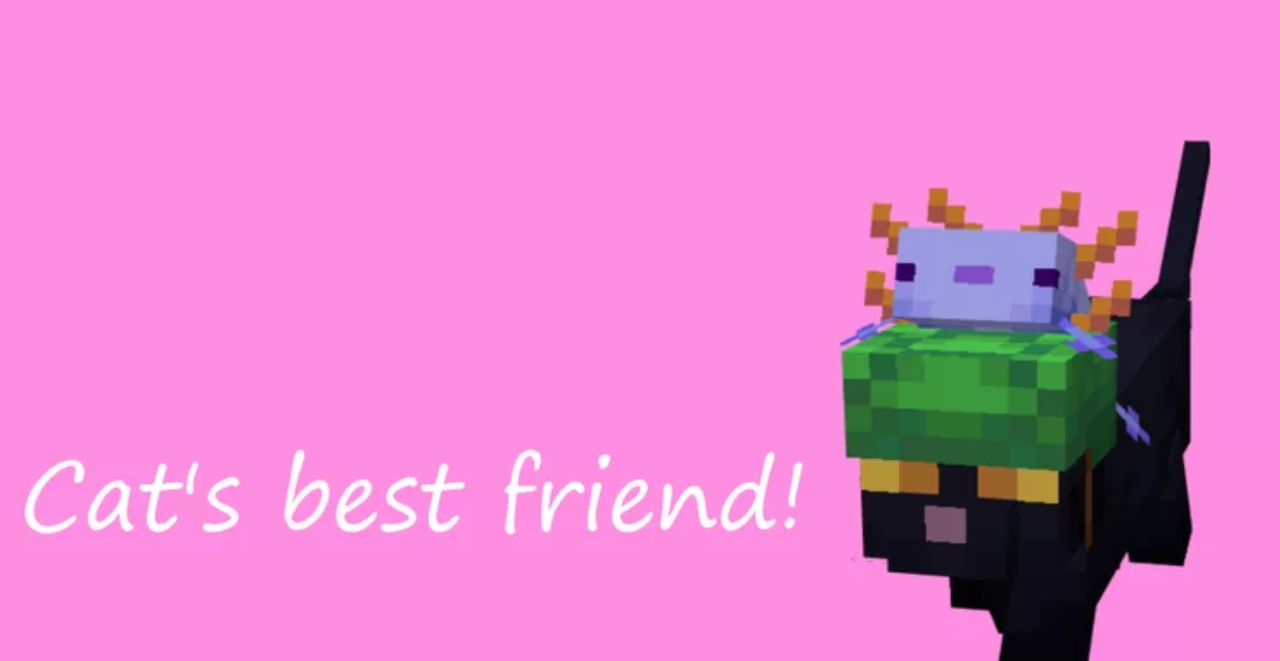 Cat’s Best Friend  1.19.4