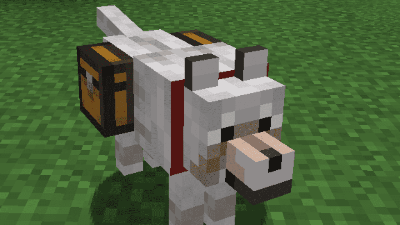 Собака с сундуком в деревне Minecraft, наполненным полезными предметами