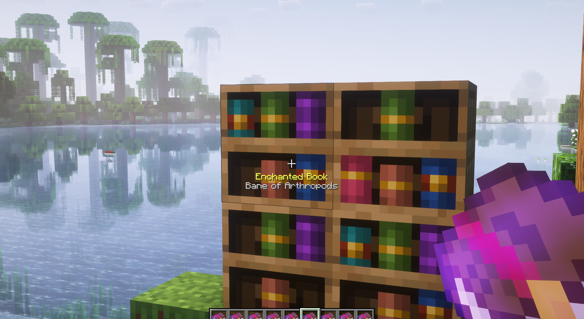 Пример использования Chiseled Bookshelf Visualizer в библиотеке Minecraft