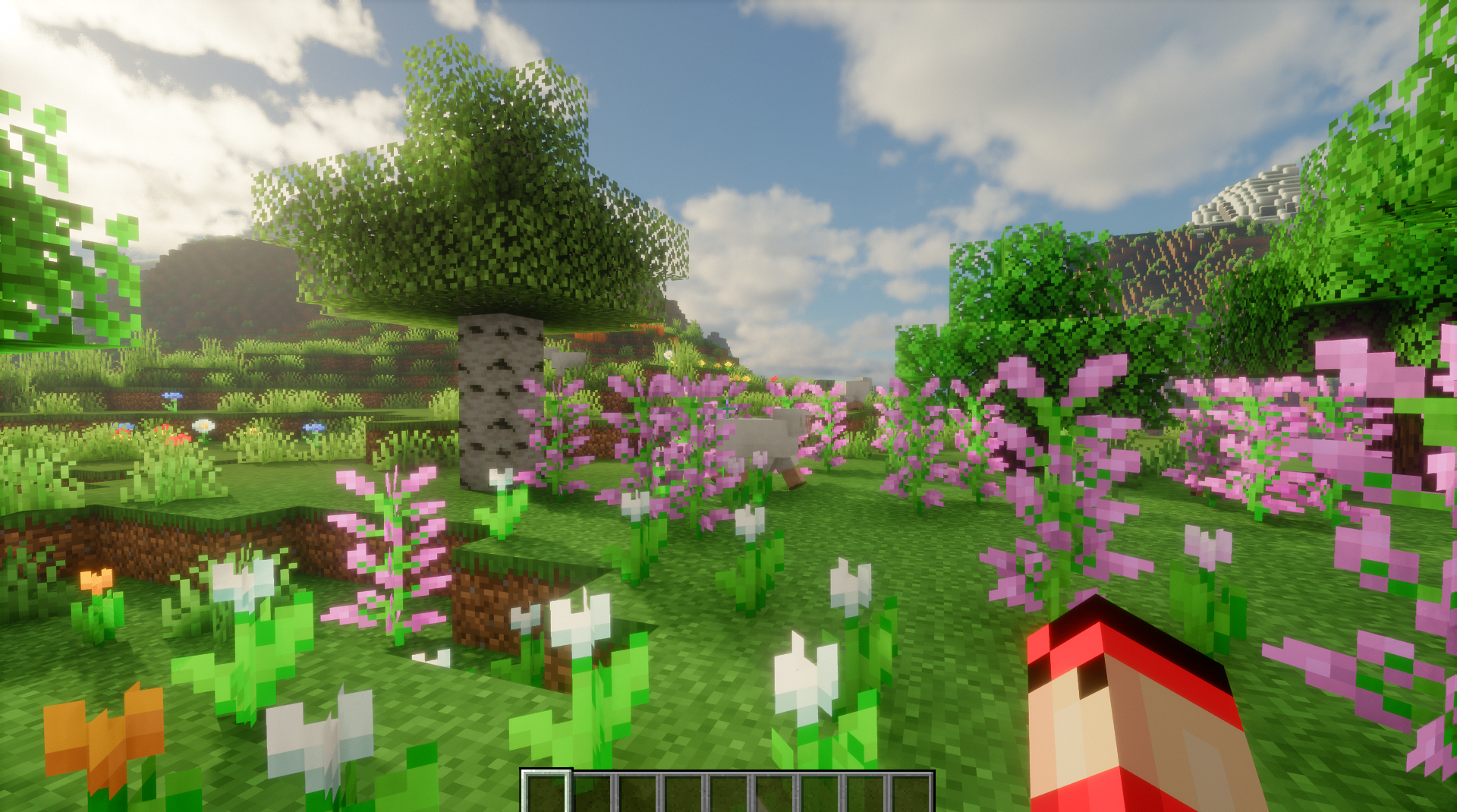 Сравнение обычного и изменённого цветового режима в Minecraft с модом Color Blindness